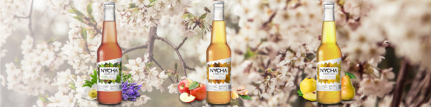 NYCHA Kombucha | Es lebt!