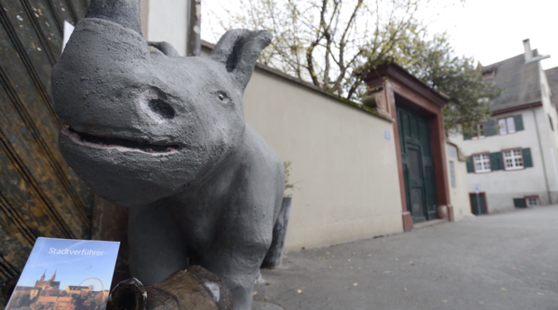 Auf Streifzügen durch die schönste Stadt