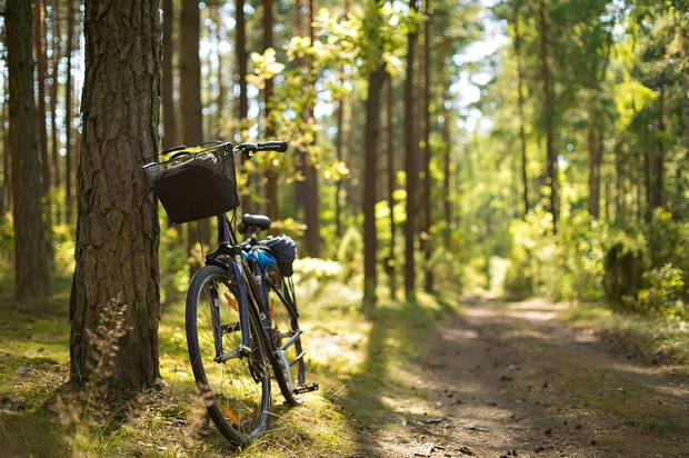 Ton escapade à vélo