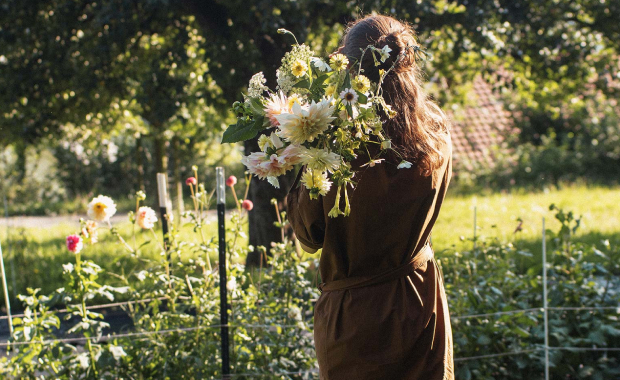 Blüemlisex macht schöne Blumen