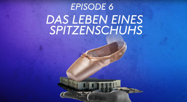 Das Leben eines Spitzenschuhs