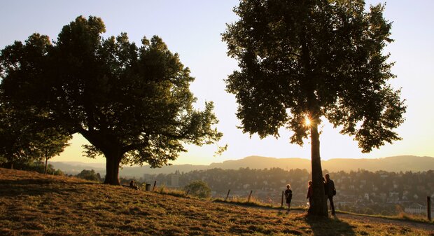 Sommertipp: Grillieren auf dem Freudenberg