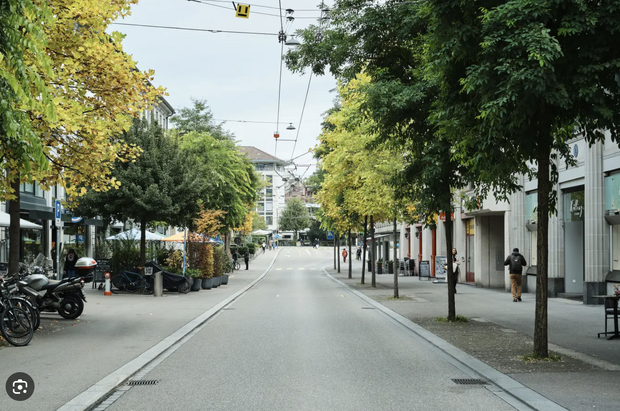 Sommertipp: Bäume