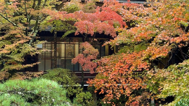 Herbst in Kyoto