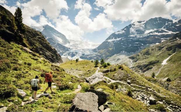 Ab in die Wälder