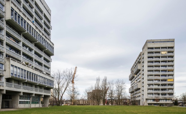 Stadtgrenze im Fokus: Schwamendingen