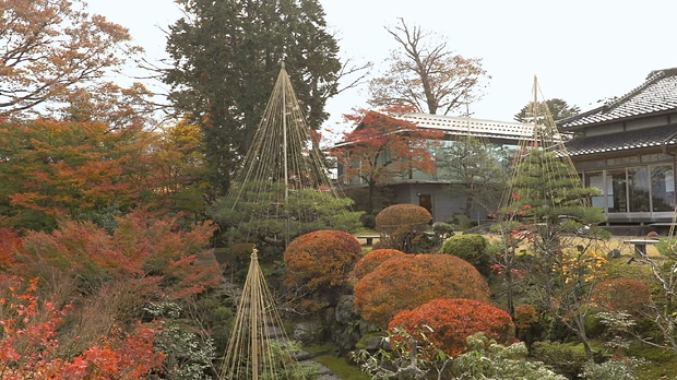 SATO: Eine Reise nach Japan mitten in Zürich