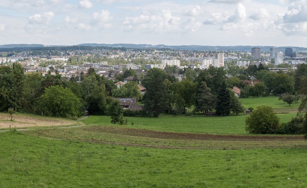 Stadtgrenze im Fokus: Schwamendingen