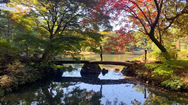 Tokios historischer Wandelgarten