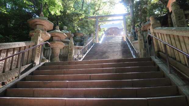 Die schönsten Aussichtspunkte in Tokio | Japan-Reisetipps