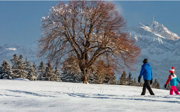 Auf der Suche nach dem Schnee