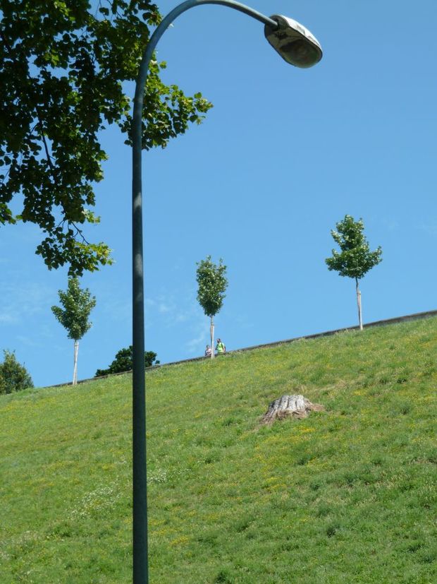 Durch Bern spaziert: Im Westen nichts Neues - oder doch?