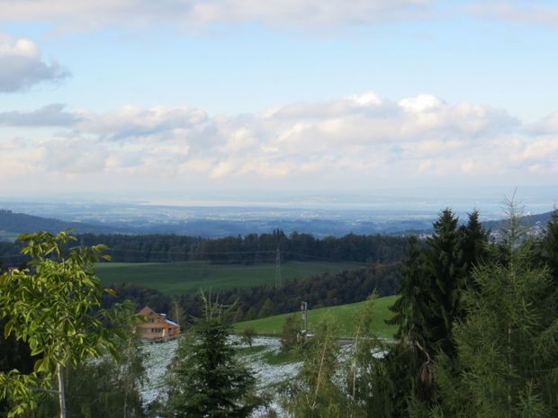 Jägerei, Teufen: Schnell am Ziel