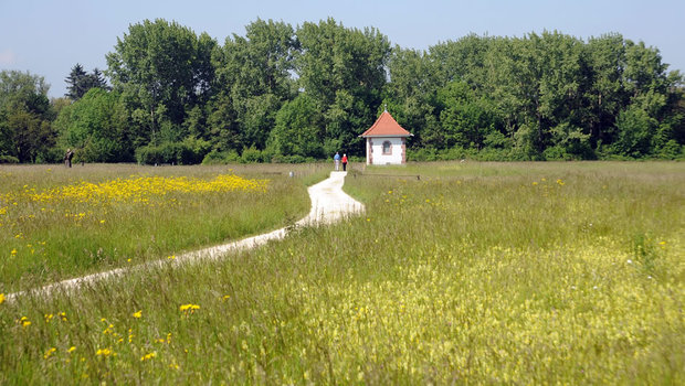 6. Teil verschiedene Yoga Stile: Sivasakti Yoga