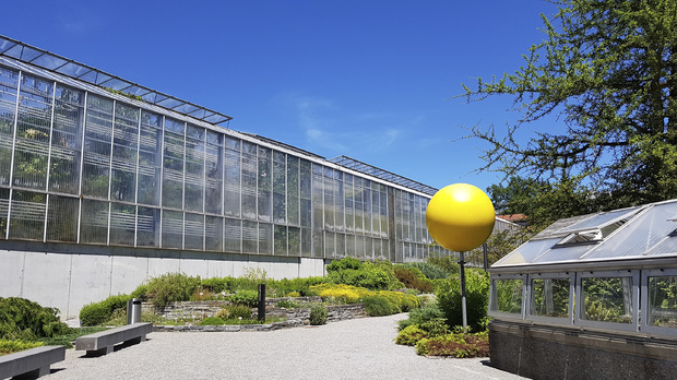 Botanischer Garten