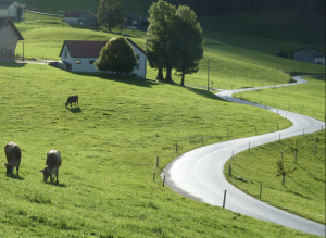 Sommertipp: Folge deinem Herzen