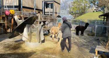 Mal so richtig ausmisten - bei den Tierli im GZ  ♥