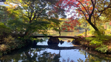 Tokios historischer Wandelgarten