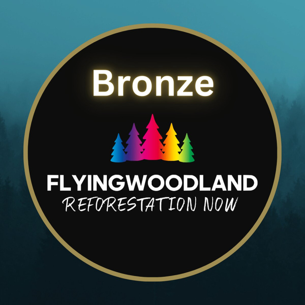 Bronze-Sponsor