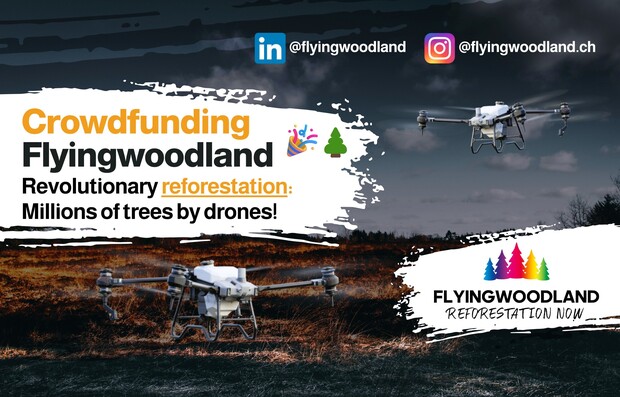 Flyingwoodland 