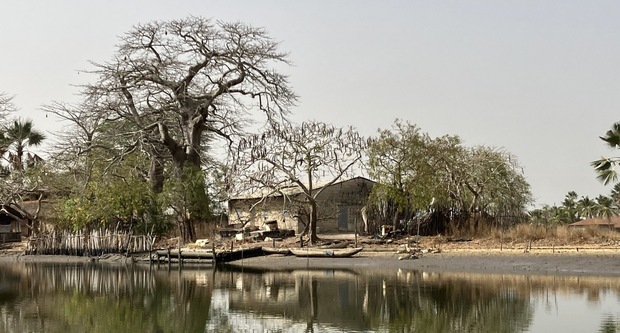 Unterstützung für Senegal