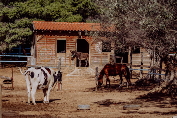 Aidez à soutenir la ferme