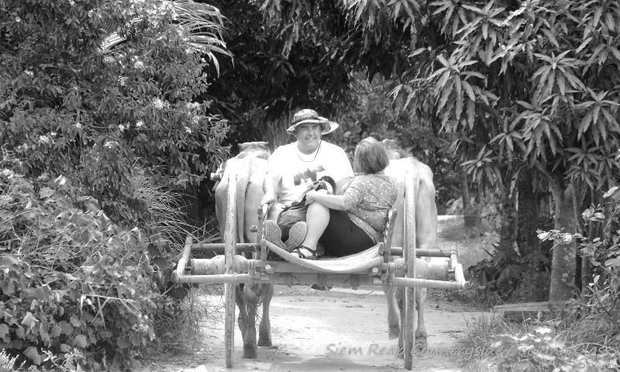 Cooking Class and Ox-cart tour with Ben in Cambodia