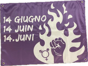Feminist flag