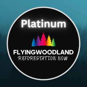 Platin-Sponsor