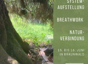 Systemaufstellung - Breathwork - Natur: Seminar in...