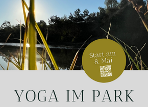 FIVE ELEMENTS MORNING WORKOUTS in downtown Zurich