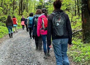 Waldbaden Shinrin_Yoku 
Achtsamkeitstraining IN und MIT...