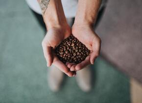 Kurs «Kaffee selber rösten»
