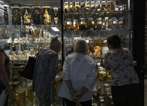 Süsses und Saures im Naturlabor: Halloween im Museum