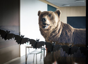 Süsses und Saures im Naturlabor: Halloween im Museum