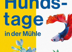 Hundstage – TirzaKaja​​​​​​​ & Melina...