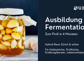 Fermentieren: die Ausbildung