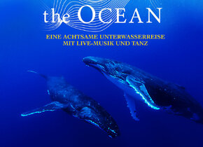 Sounds of the Ocean