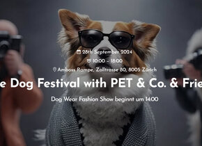 The Dog Festival with PET & Co. & Friends