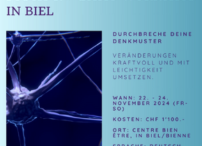 PSYCH-K® Basic Workshop in Biel I 22.-24. November 2024