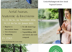 Aerial Yoga Teacher Training 50h in Luzern