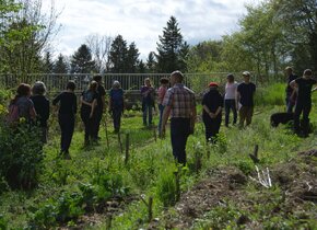 WWF-Event - Röhrende Hirsche