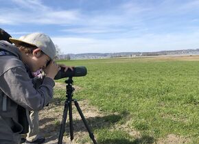 Fotokurs: Zugvögel auf der Durchreise