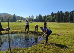 Fotokurs: Zugvögel auf der Durchreise