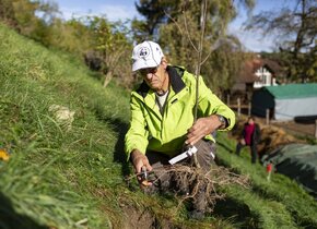 WWF-Einsatz – Heckenpflanzung auf dem Lebenshof Wannenwis