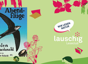 lauschig-Leseclub - Lauren Groff: «Die weite Wildnis»