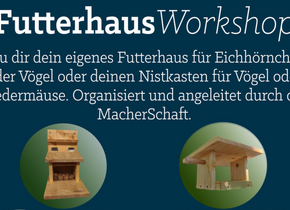 Workshop: Futterhaus für Eichhörnchen/Vögel