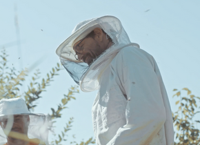 BIENEN VERSTEHEN / IMKER*IN WERDEN