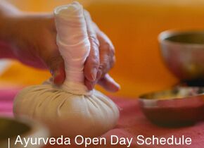 Sanapurna Yoga & Ayurveda Open Day