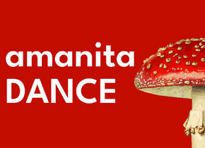 amanita DANCE